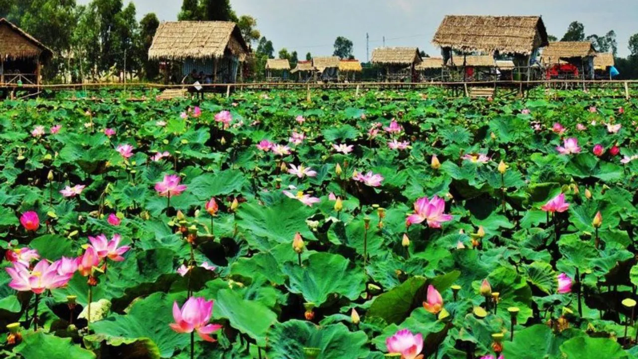 Thuê Xe Đi Đồng Tháp